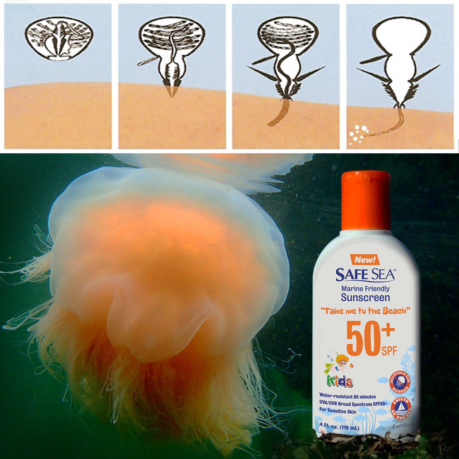 Safe Sea Kids Skin Jelly Fish and Sea Repellent Lotion with SPF50 – eBodyboarding.com