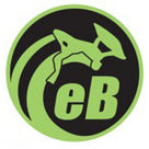 eBodyboarding.com 6" Eclipse Sticker - Green