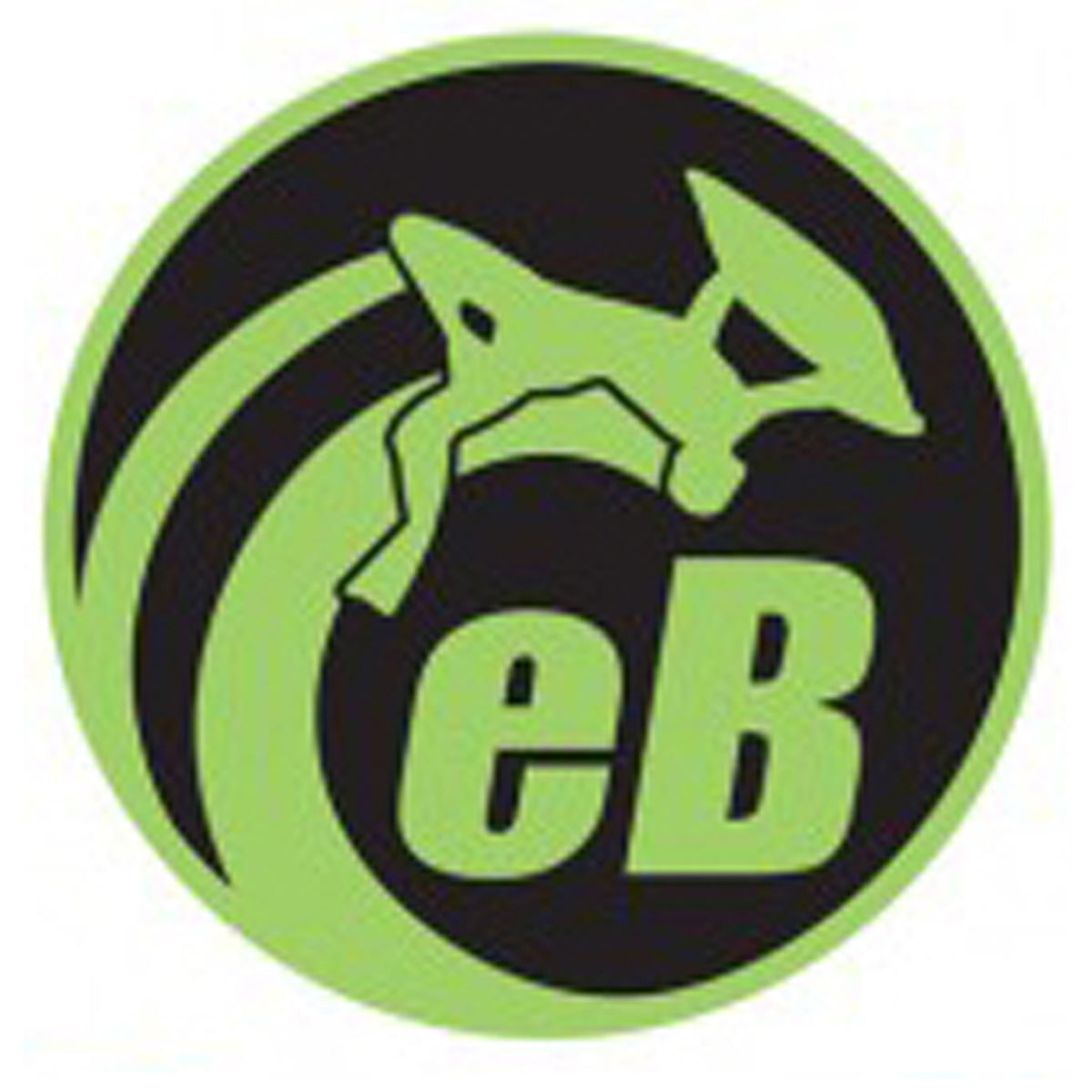 eBodyboarding.com 6" Eclipse Sticker - Green
